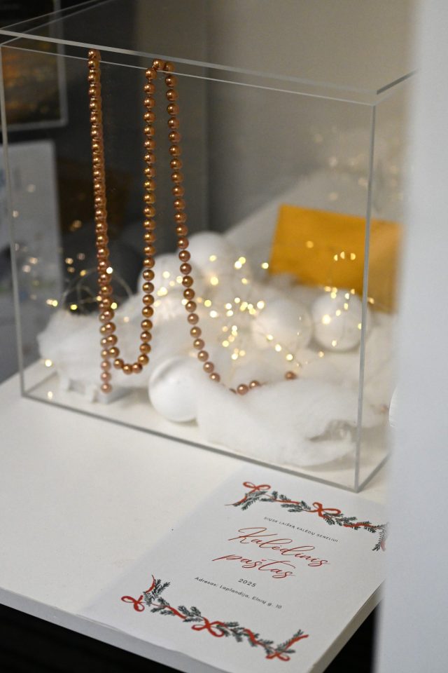 593985989_122244935240177802_5774866857419492292_n