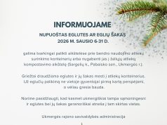 Metas nupuošti eglutes. Kaip rūšiuoti šventines atliekas?