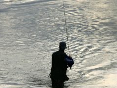 Nuo sausio 1-osios galima žvejoti lašišines žuvis