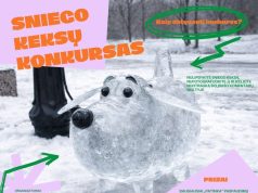 SNIEGO KEKSŲ KONKURSAS