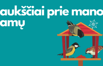 Kviečiame dalyvauti akcijoje „Paukščiai prie mano namų” 2026