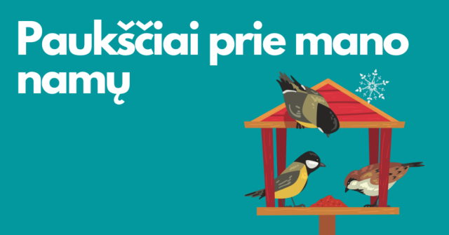 Pauksciai-prie-mano-namu-1024x536