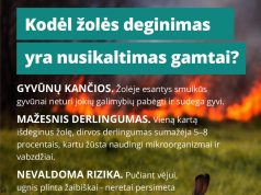 Deginama žolė: mirties nuosprendis viskam, kas gyva