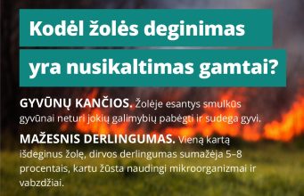 Deginama žolė: mirties nuosprendis viskam, kas gyva