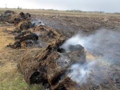 Ką daryti su sodo ir daržo atliekomis, jei jų deginti negalima?