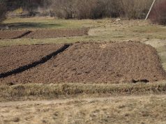Rūgštiems dirvožemiams – valstybės parama: ūkininkai galės susigrąžinti iki 50 proc. kalkinimo išlaidų