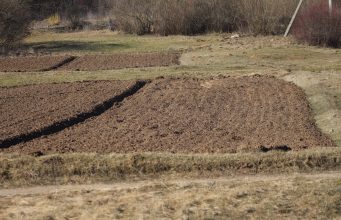 Rūgštiems dirvožemiams – valstybės parama: ūkininkai galės susigrąžinti iki 50 proc. kalkinimo išlaidų