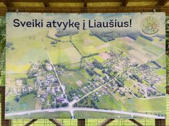 „Lik sveika, vasara!“ – net ir audringas oras nesustabdė bendrystės