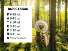 Vl. Šlaito viešoji biblioteka nuo rugsėjo grįžta prie įprasto darbo grafiko
