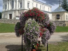 Lyduokių miestelį papuošė spalvingi gėlynai