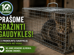 „Klajūnas“ prašo gyventojų grąžinti paskolintas kačių gaudykles