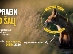 Ukmergės rajone – išskirtinė proga išgirsti rudenėjančio miško garsus