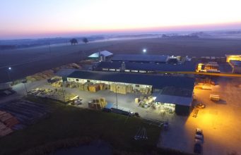 „UŽMOJAI SU GARANTIJOMIS” DIREKTORIUS G. PAKULNIS: Medienos pramonės išlikimui svarbiausia inovacijos ir žmonės