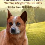 65922614_10215687727881228_6303848526837186560_o