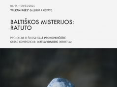 „VILKAMIRGĖS“ galerija pristato: atmosferinė instaliacija „BALTIŠKOS MISTERIJOS: RATUTO“