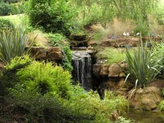 Miesto daržininkystė: ekspertai pataria, nuo ko pradėti ir ką auginti bute