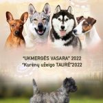 287688561_10222670320321675_1071082139737800499_n