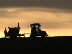 Nuo vasario 1 d. bus laukiamos smulkių ūkio subjektų paraiškos