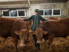 Jauniesiems ūkininkams – dotacijos ir lengvatinės paskolos