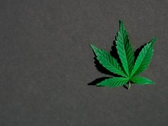 6 dažniausios priežastys, kodėl žmonės pradeda vartoti CBD aliejų