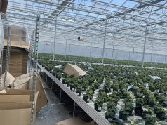 Ukmergės rajonas liūties ir krušos padarinių neišvengė: keturiose seniūnijose skelbia ekstremaliąją situaciją