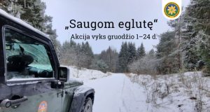 Gruodį vyks tradicinė akcija „Saugom eglutę“