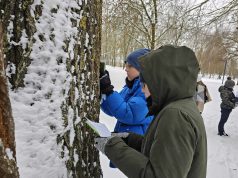 VMU projektas „Pamokos miške“ sėkmingai keliauja per Lietuvą
