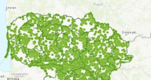 VMU sukūrė ir visuomenei pristato reprezentatyvių miškų plotų žemėlapį