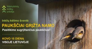 Paukščiai grįžta namo – sparnuotų giesmininkų sutiktuvės visoje Lietuvoje