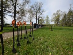 Moksleiviai sodino medelius