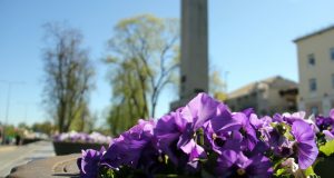 Sustabdyta akimirka: Našlaitės