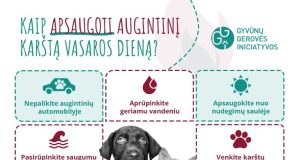 Patarimai, kaip apsaugoti augintinius per karščius