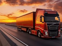 Kokius krovinius galima gabenti į Švediją?