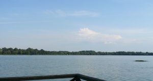 Visuose vandens telkiniuose maudytis saugu, užterštumas nenustatytas