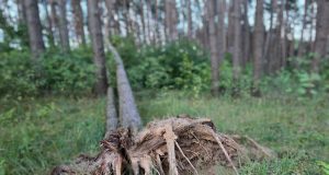 Sustabdyta akimirka: Neatlaikė…