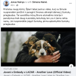 Nainio daina isunintam suniukui Bruno