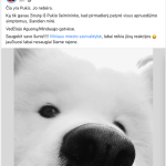 Rekasiute piktinasi del nunuodyto suniuko