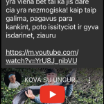 Valujevicius kankina unguri
