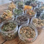 20240811_121644-scaled