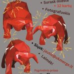 464878122_527250770126426_1173200537216114006_n