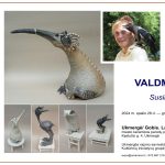 465005635_10226663370757068_5939000114634153101_n