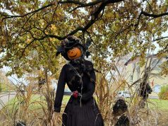 Jau ketvirtą kartą vyko „Šviečiančių moliūgų žibintų“ paroda