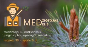 Miškininkai ir medžiotojai buriasi į talką – miškuose vyks akcija „Medžiotojas ir medelis“