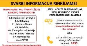Prasideda II Seimo rinkimų turas: kur ir kada balsuoti?