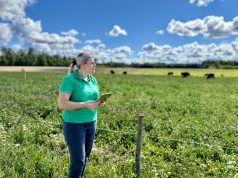 Našūs ir sausrai atsparūs daugiamečiai žolynai: 12 ūkių pasiryžę tai išbandyti