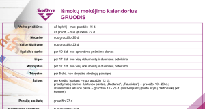 „Sodros“ pensijos ir išmokos pasieks gyventojus dar iki švenčių
