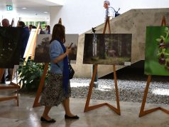 Per miškininko objektyvą: virtuali ir keliaujanti paroda „Gamtos vertybės miškininko akimis“