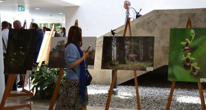 Per miškininko objektyvą: virtuali ir keliaujanti paroda „Gamtos vertybės miškininko akimis“
