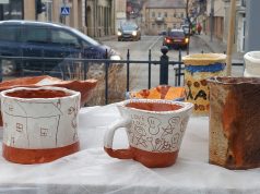 Nauja paroda „Gobis. Lauko ekspo”