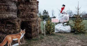 Kviečiame balsuoti už gražiausią eglutę Krikštėnų dvare!